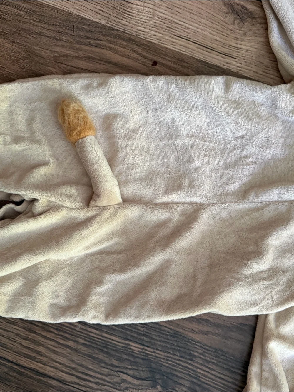 Pottery Barn Lion Halloween Costume